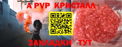 стаф Тара
