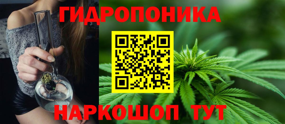 Каннабис OG Kush  Марихуана SATIVA & INDICA  Вход с VPN  Канабис SATIVA & INDICA  Муравленко 